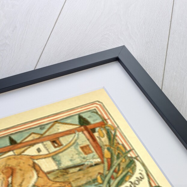 The Dog and the Shadow by Anonymous