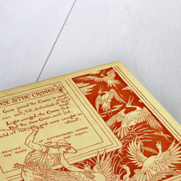 The Geese and the Cranes by Anonymous