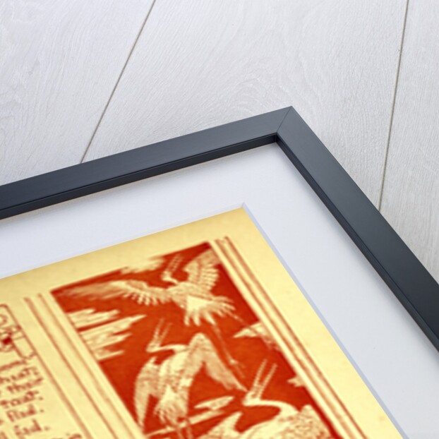 The Geese and the Cranes by Anonymous