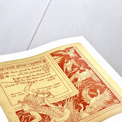 The Geese and the Cranes by Anonymous