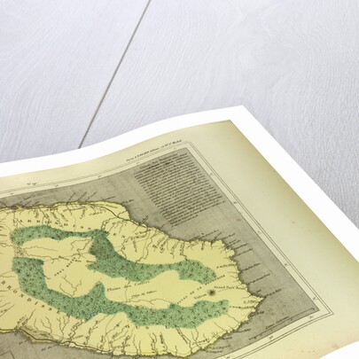Map of La Réunion by Anonymous