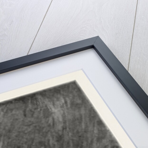 The Victoria Channel Steamboat Between Dover and Calais by Anonymous