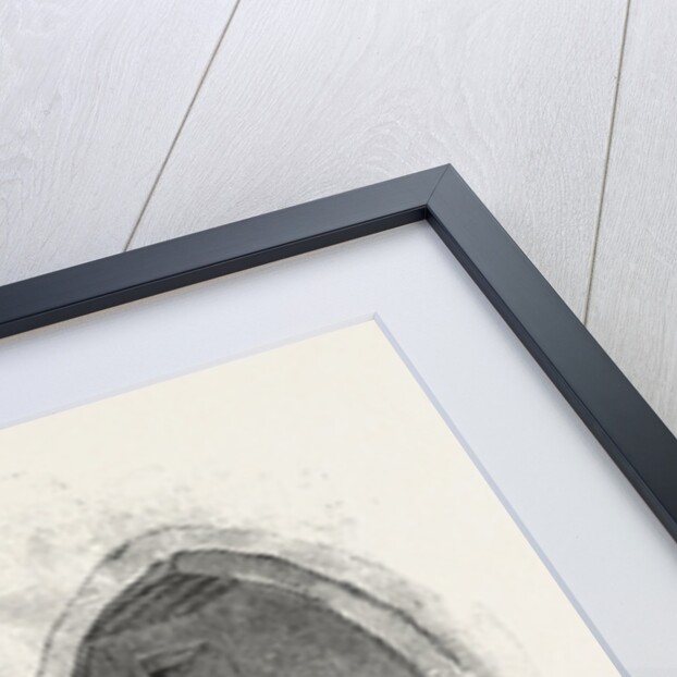 Butcher's Shop in Grasse France by Anonymous