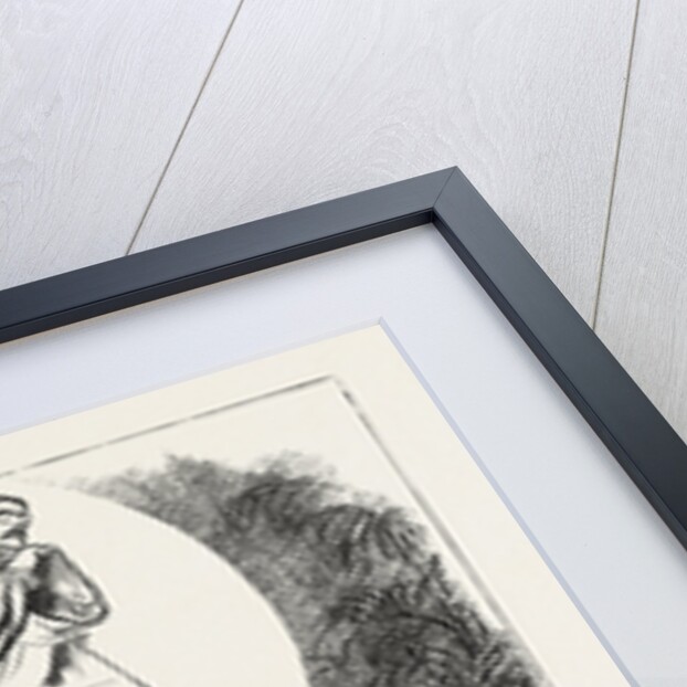 Lecture by Mr. Harry Furniss on the Humours of Parliament by Anonymous