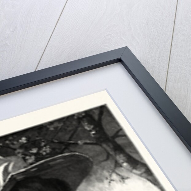 The First Day of the Season. by Anonymous