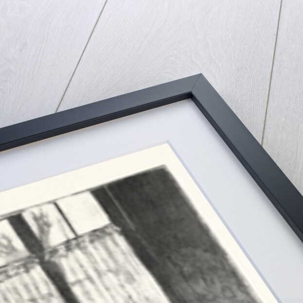 Love Me Love My Cat. by Anonymous