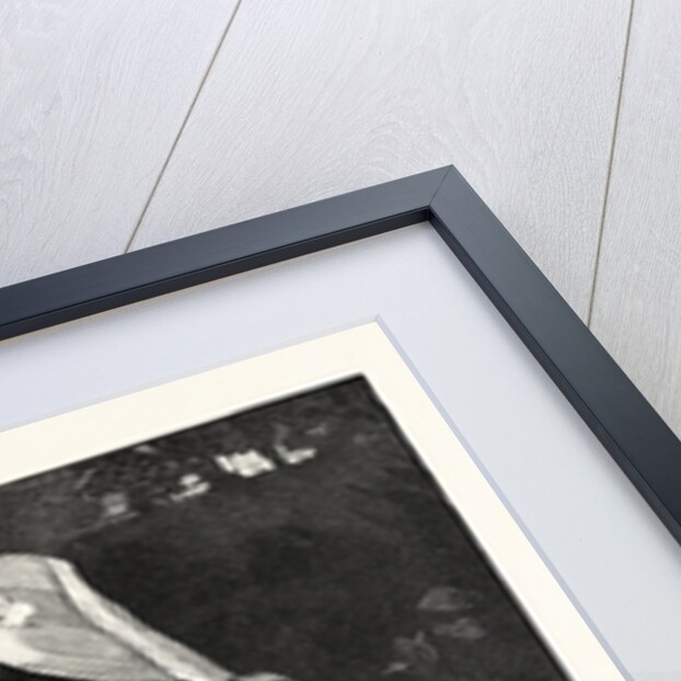 Chickens by Anonymous