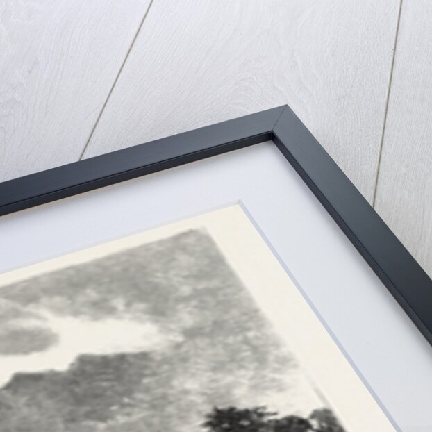 Te Anau One of the New Zealand Lakes: Mount Oilé from Botanist Bay by Anonymous