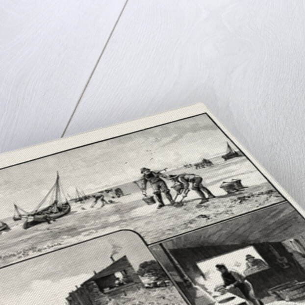 Gathering Cockles and Winkles on the Essex Coast UK by Anonymous