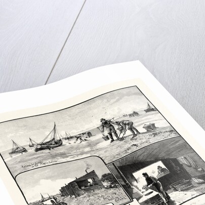 Gathering Cockles and Winkles on the Essex Coast UK by Anonymous