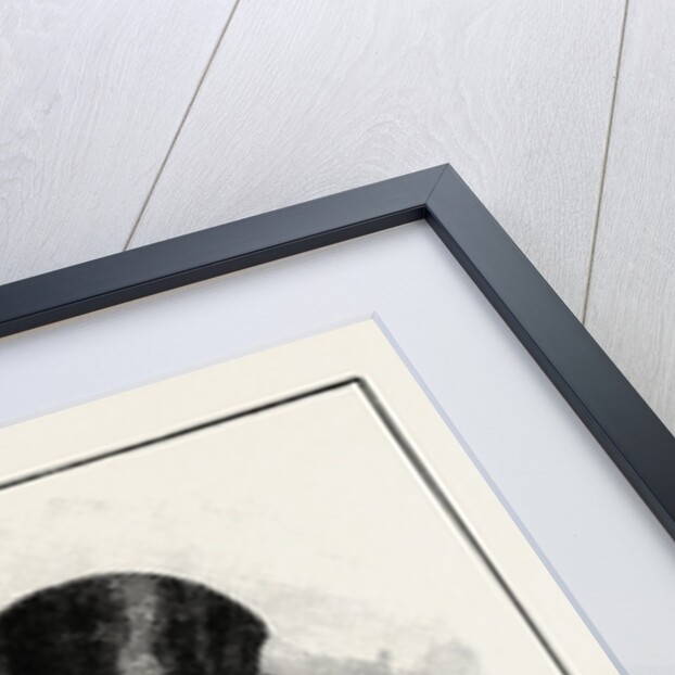 Sporting Dog: I Backed the Winner. by Anonymous