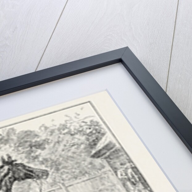 Common Winner of the Derby. by Anonymous