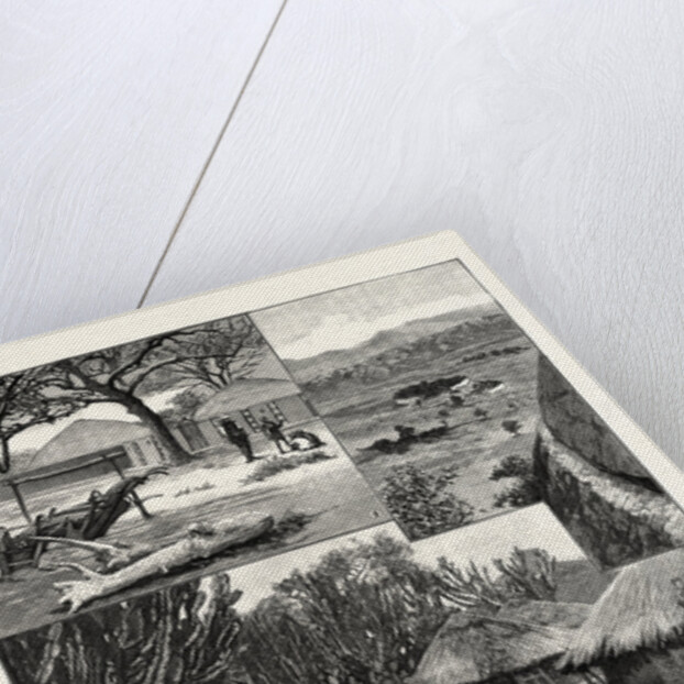 The British South Africa Company's Expedition to Mashonaland by Anonymous