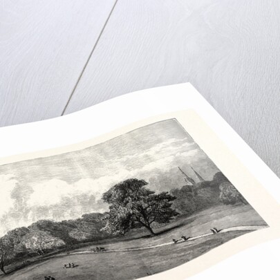 Visit of the Prince of Wales to Rotherham: Clifton Park by Anonymous