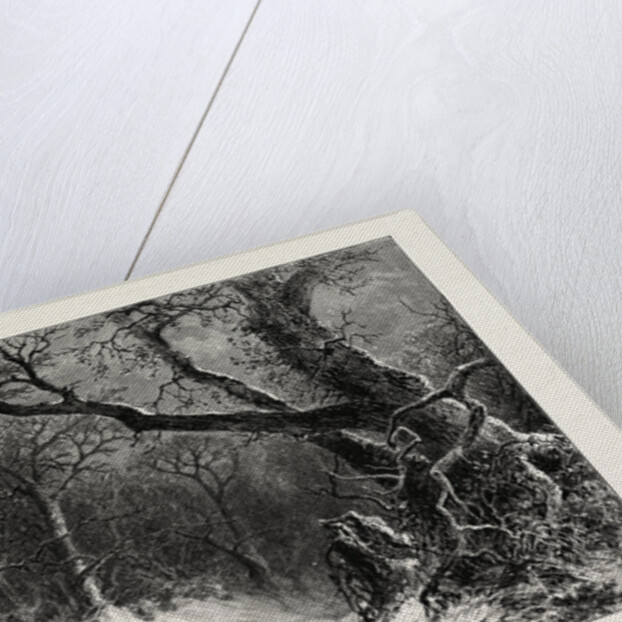 A Scandinavian Forest in Winter by Anonymous