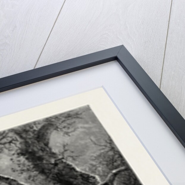 A Scandinavian Forest in Winter by Anonymous