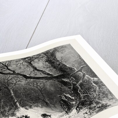 A Scandinavian Forest in Winter by Anonymous