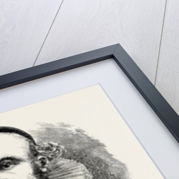 A Norwegian Pastor by Anonymous