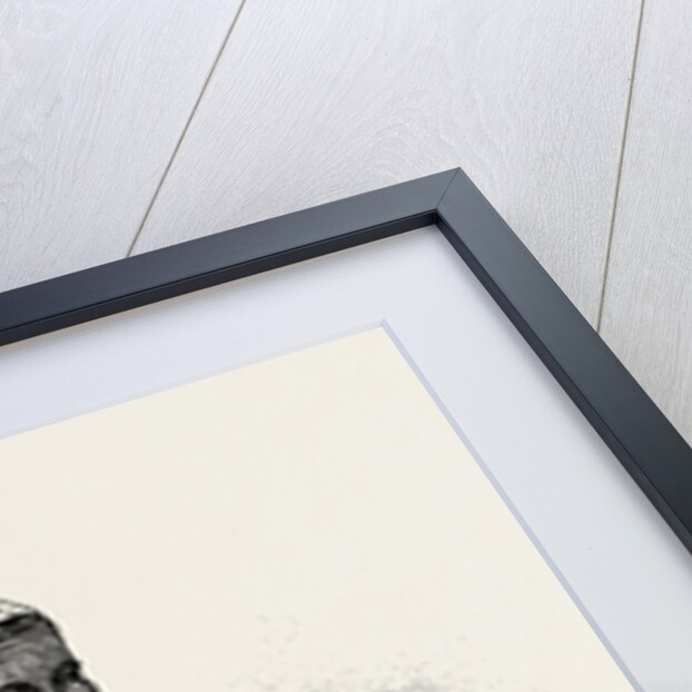 Lapp Cradle by Anonymous