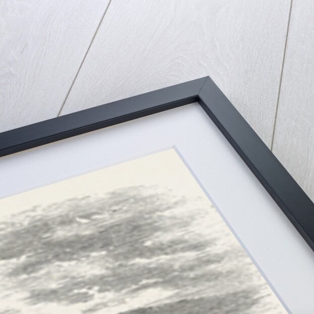 Oscar's Hall, Christiania, Oslo by Anonymous