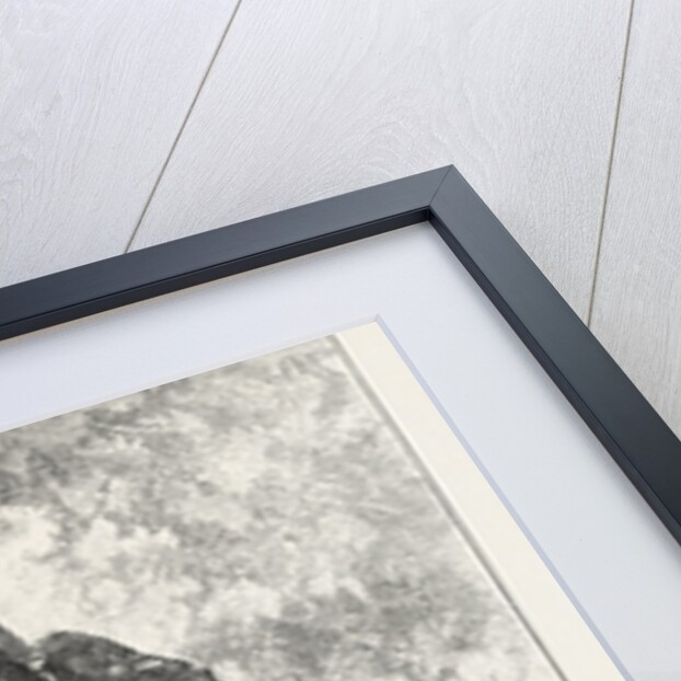 The Romsdal Horn by Anonymous