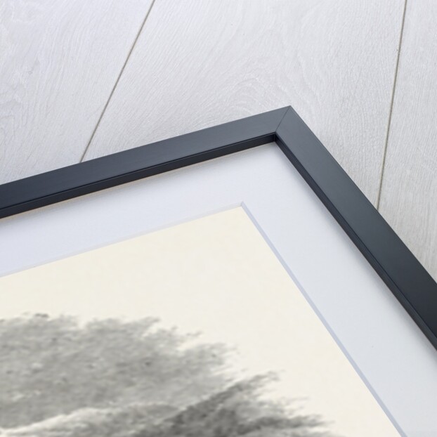 A Part of Christiansund Harbour by Anonymous