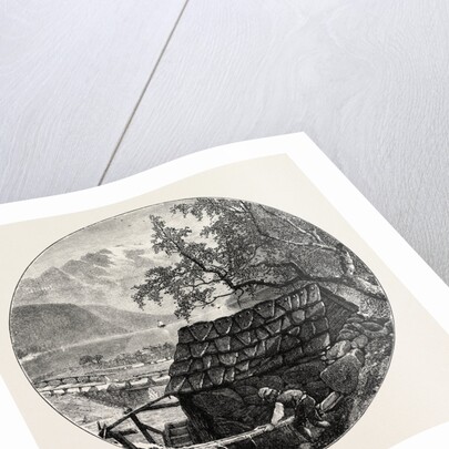 View Near Ulvik by Anonymous