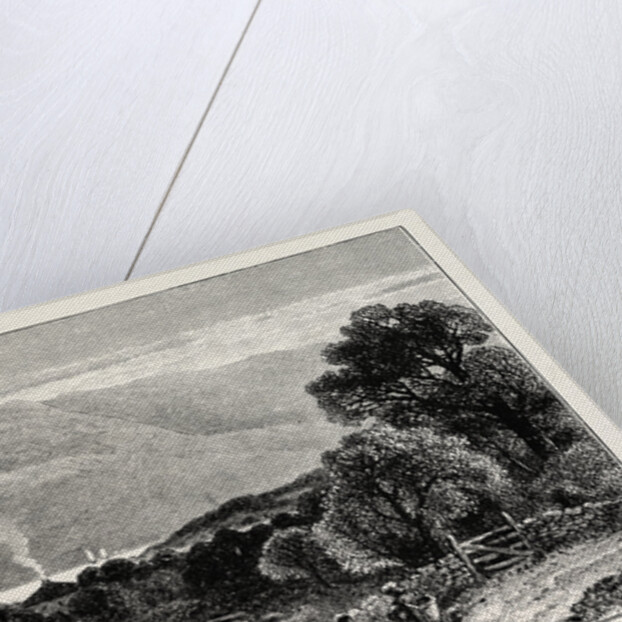 View Near Stavanger by Anonymous