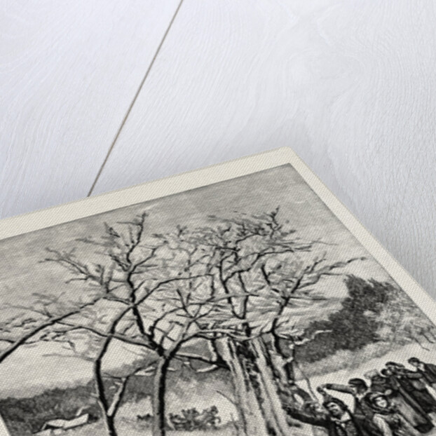 A Norwegian Wedding by Anonymous