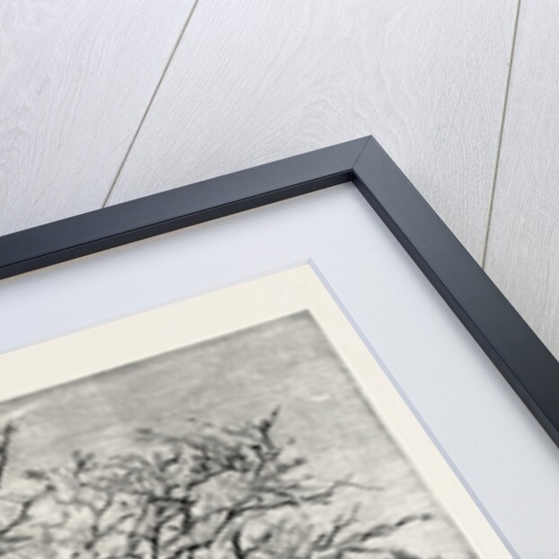 A Norwegian Wedding by Anonymous