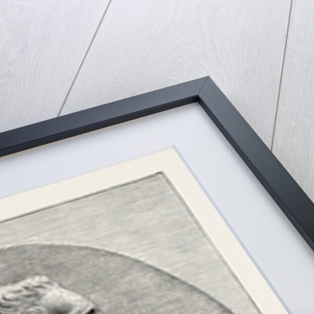 Carl Linnaeus by Anonymous