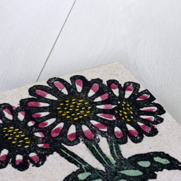 Illustration of English Tales Folk Tales and Ballads. Flowers by Anonymous