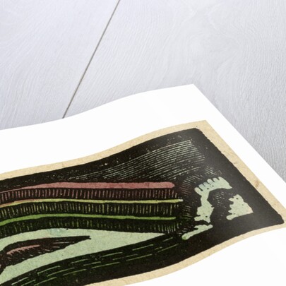Illustration of English Tales Folk Tales and Ballads. A Rainbow and a Bird by Anonymous