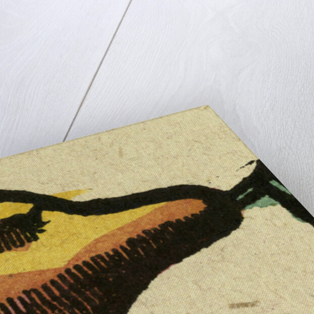 Illustration of English Tales Folk Tales and Ballads. A Pear by Anonymous