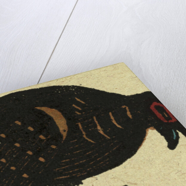 Illustration of English Tales Folk Tales and Ballads. Pheasant by Anonymous