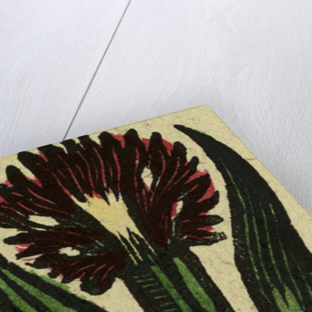 Illustration of English Tales Folk Tales and Ballads. A Flower by Anonymous