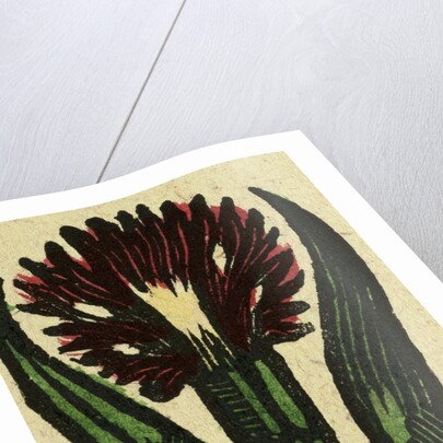 Illustration of English Tales Folk Tales and Ballads. A Flower by Anonymous