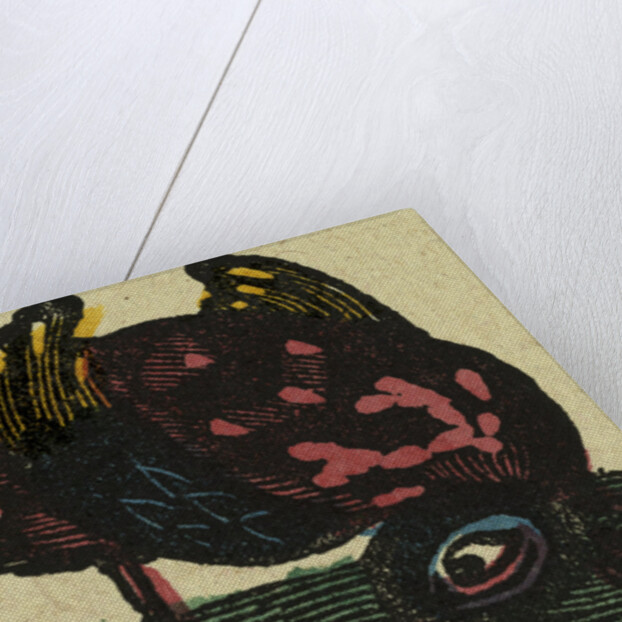 Illustration of English Tales Folk Tales and Ballads. A Colourful Bird by Anonymous