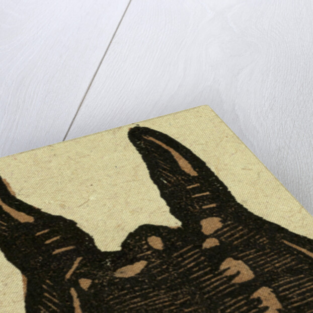 Illustration of English Tales Folk Tales and Ballads. Bag by Anonymous