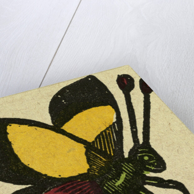 Illustration of English Tales Folk Tales and Ballads. A Butterfly by Anonymous