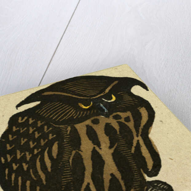 Illustration of English Tales Folk Tales and Ballads. A Grumpy Owl by Anonymous