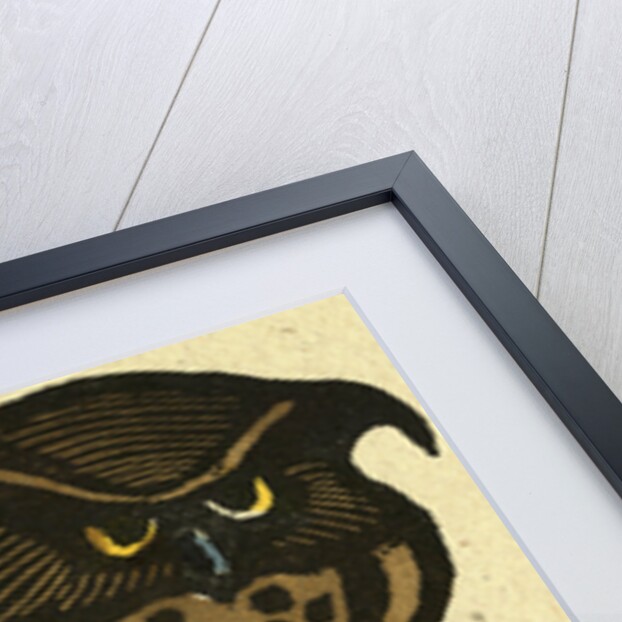 Illustration of English Tales Folk Tales and Ballads. A Grumpy Owl by Anonymous