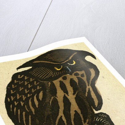 Illustration of English Tales Folk Tales and Ballads. A Grumpy Owl by Anonymous