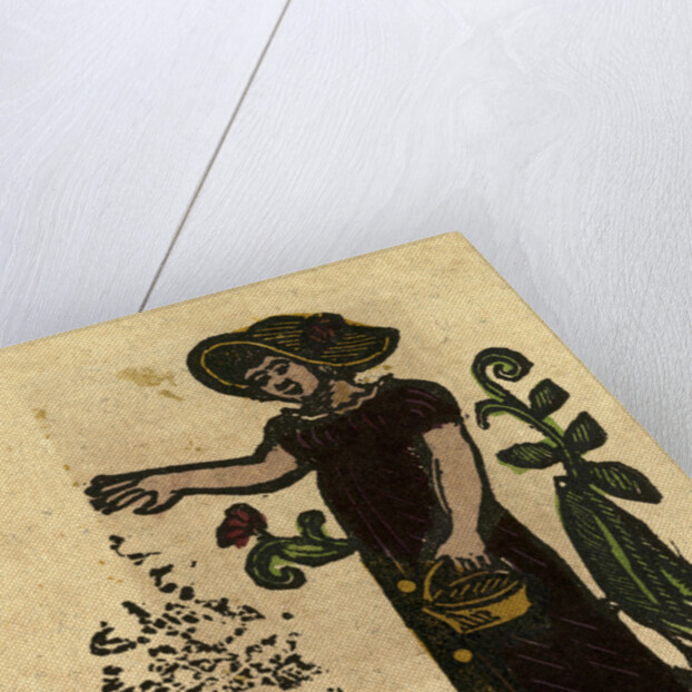 Illustration of English Tales Folk Tales and Ballads. A Woman Feeding Ducks by Anonymous