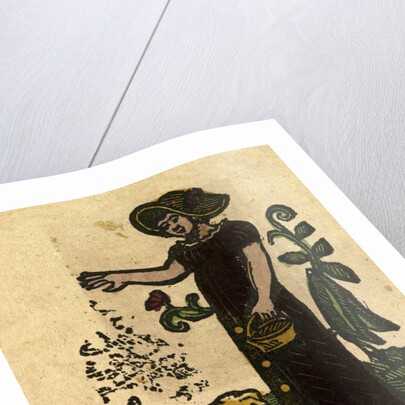 Illustration of English Tales Folk Tales and Ballads. A Woman Feeding Ducks by Anonymous