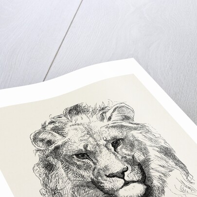 A Modern Lion by Anonymous