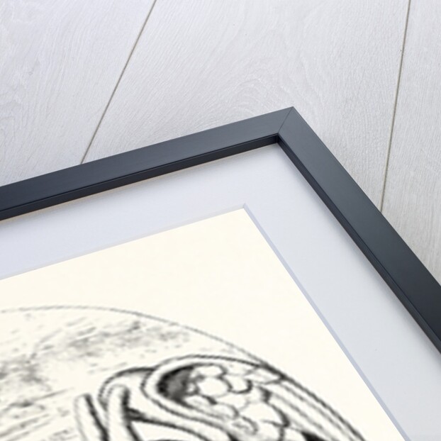 Le Stryge, the Grotesque at the Paris Notre Dame Cathedral, France by Anonymous