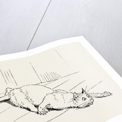 The Cat that Ate the Rat, 19th Century by Anonymous
