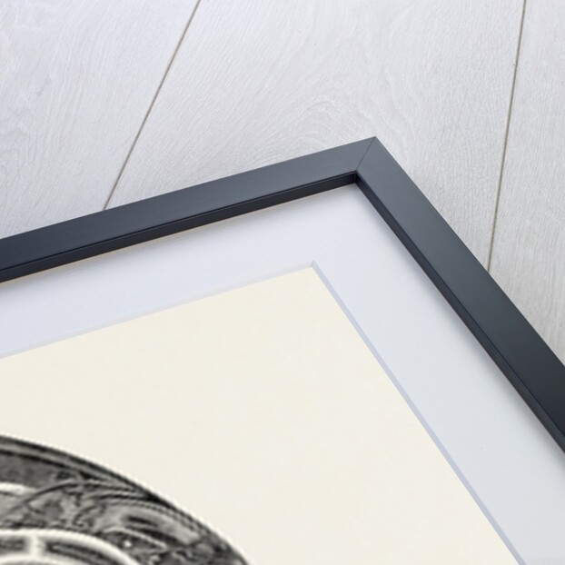 Shrine of St. Patrick's Bell. Front View by Anonymous