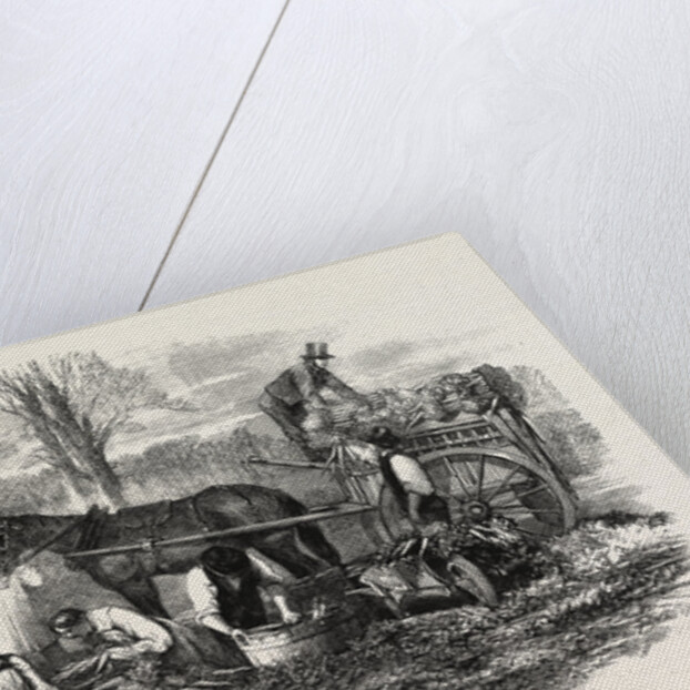 Gathering Washing Bunching and Carting Carrots for the London Market UK by Anonymous